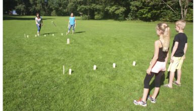 Best Kubb Sets: The Viking Throwing Game